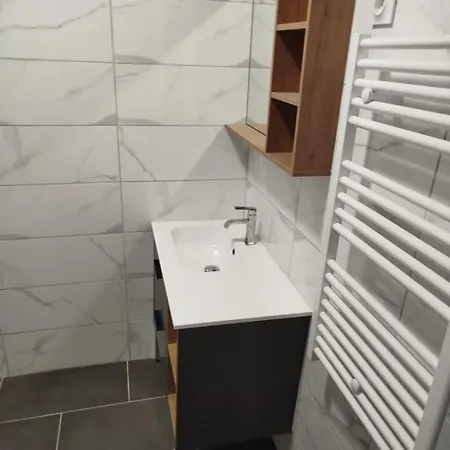 דירה T2 Centre Lourdes, Proche Sanctuaire Avec Balcon לורדה